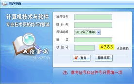 2012年下半年兵團(tuán)軟件水平考試系統(tǒng)集成項目管理工程師成績查詢指南